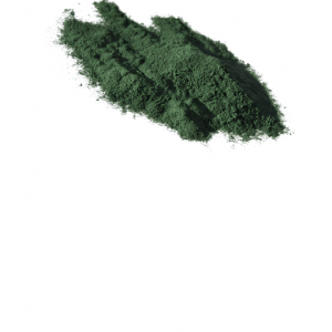 Chlorella en polvo