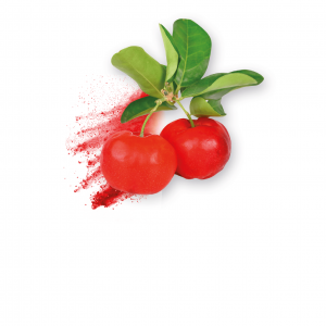 Acerola en polvo