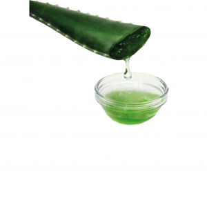 Zumo de Aloe Vera